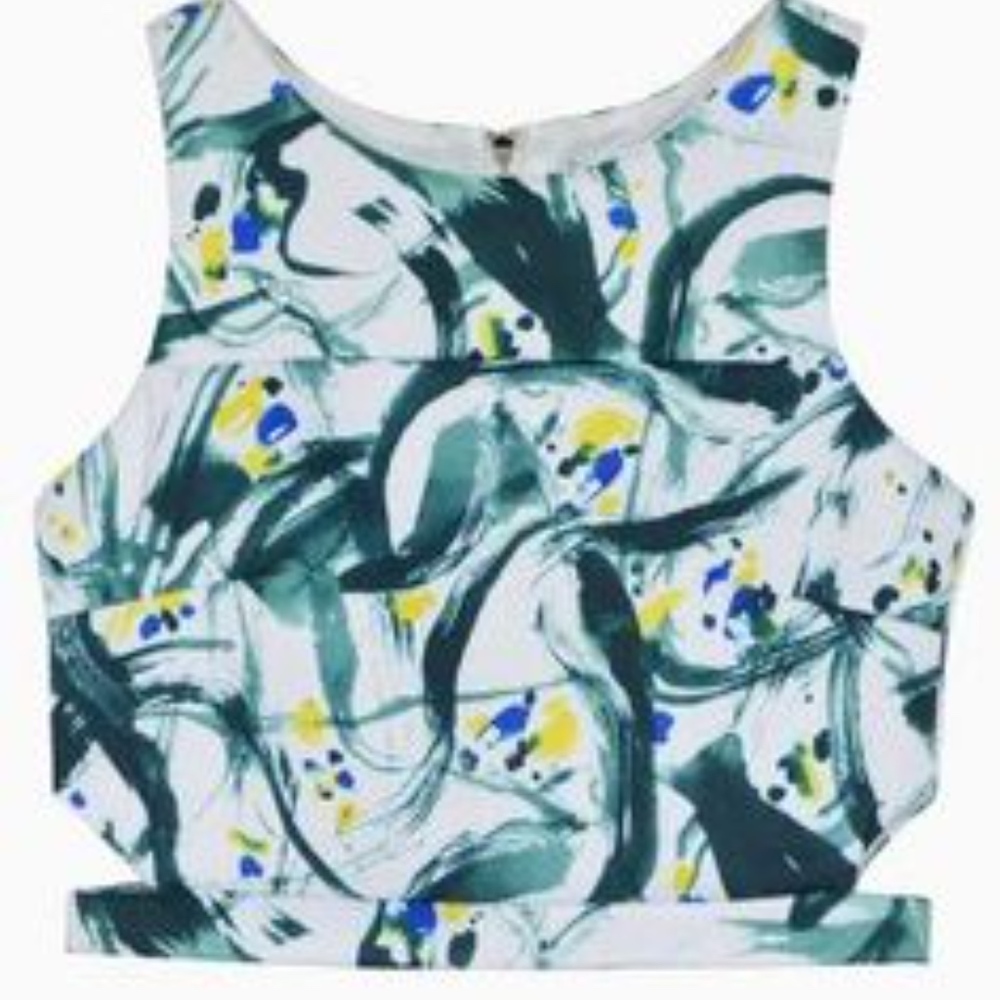 Blue Abstract brush Crop Top